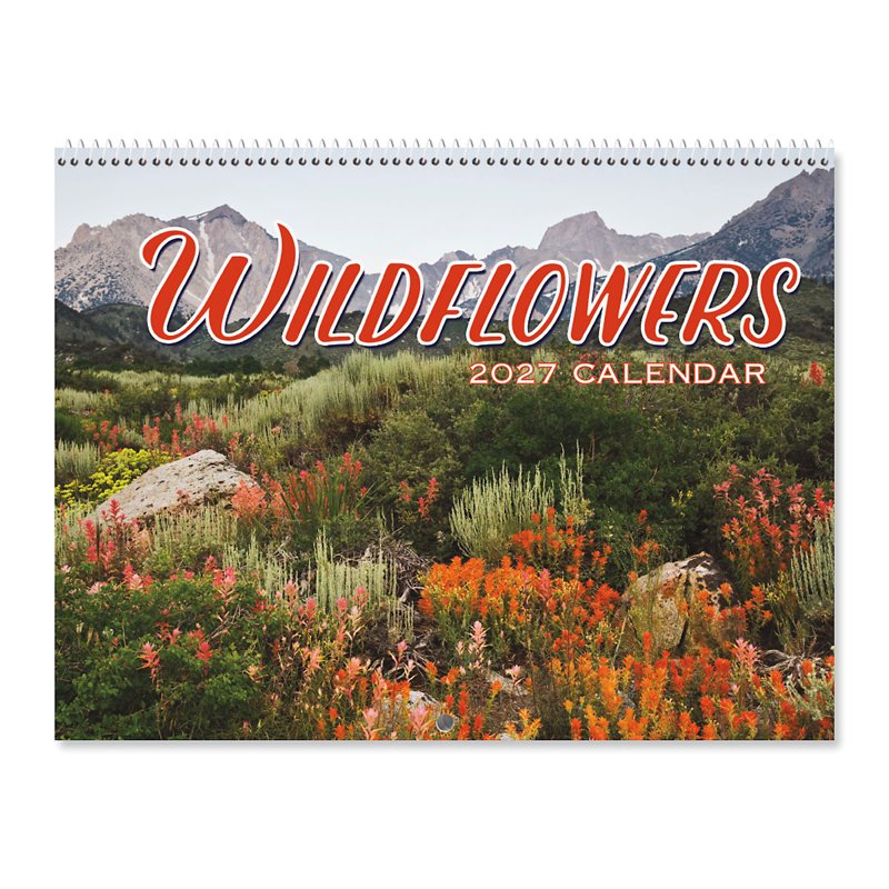 Wildflowers Wall Calendar 2027 - Scenic Nature Photography, 9x12 Inch