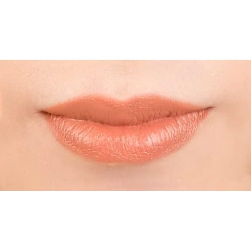 Physicians Formula Organic Wear All Natural Tinted Lip Treatment Gingersnap | Dermatologist Tested, Clinicially Tested (Pack of 2)