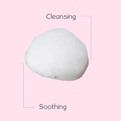 Foaming Feminine Wash |For Intimate Areas |Self-Foaming Pump |pH Balanced |Cleanses and Refreshes |Made with Natural and Organic Ingredients |Dermatologist & Gynecologist Tested |(6.7 fl.oz / 200ml)