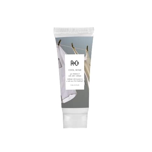 R+Co Cool Wind pH Perfect Air Dry Hair Cream | Hydrates + Tames + Softens | Vegan + Cruelty-Free |