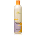 Earth Science Fragrance Free Shampoo with mild coconut-based cleansers for sensitive scalp & hair ? 12 oz. (Pack of 2)