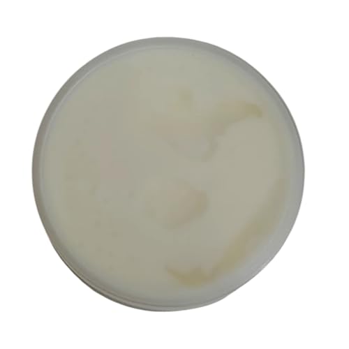 Florigan Rejuvenating Facial Cream Placenta y Concha N?car 350grs (1)