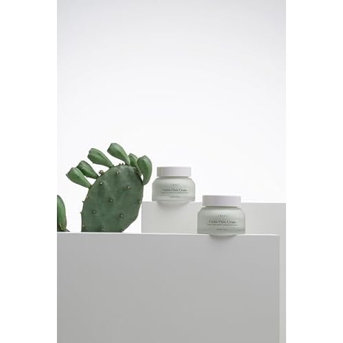 URANG Cactus Oasis Cream | Organic Certified | Vegan | Natural Skin Barrier Lightweight Hydrating Moisturizer | Tamanu Oil & Ceramide Moisturizer | Natural Skin care for Women, Men | 1.69 Oz