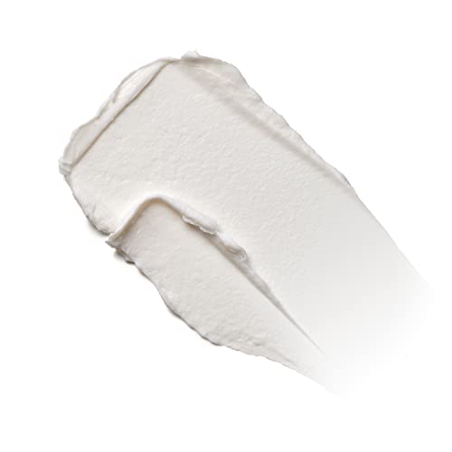 Kenra Perfect Blowout 5 | Light Hold Styling Cr?me | Provides Thermal Protection | Increases All Over Body & Fullness | Lightweight Formula | All Hair Types