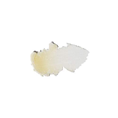 Sun Bum Pi?a Colada Cocobalm | Hydrating Lip Balm with Aloe |Paraben Free, Silicone Free, | 0.15oz Stick (20-48058) (Pack of 3)