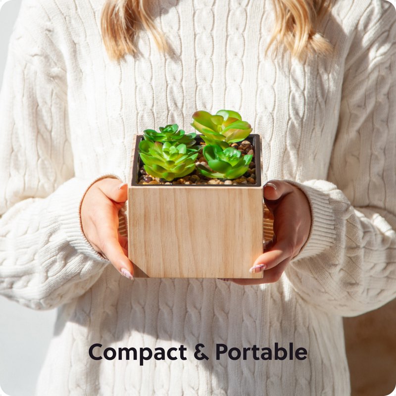 Diversion Safe Plant Pot with Combination Lock - Hidden Cash and Jewelry Storage