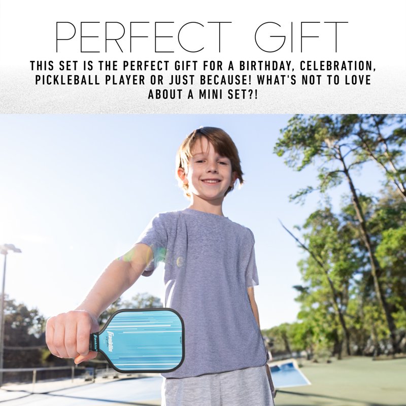 Mini Pickleball Game Set - Tabletop Paddle & Ball For Indoor Play
