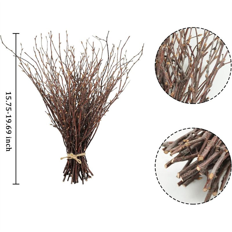 Dried Birch Twigs Branches for Vase Fillers and Decor - 20 Pack, Rustic Natural Look