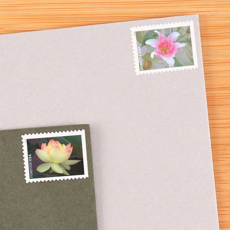 USPS Garden Flower Postage Stamps Book of 20 for First Class Mail