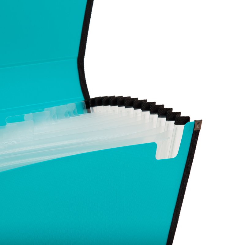 Expandable 13-Pocket File Folder with Tabs - Durable Poly Organizer