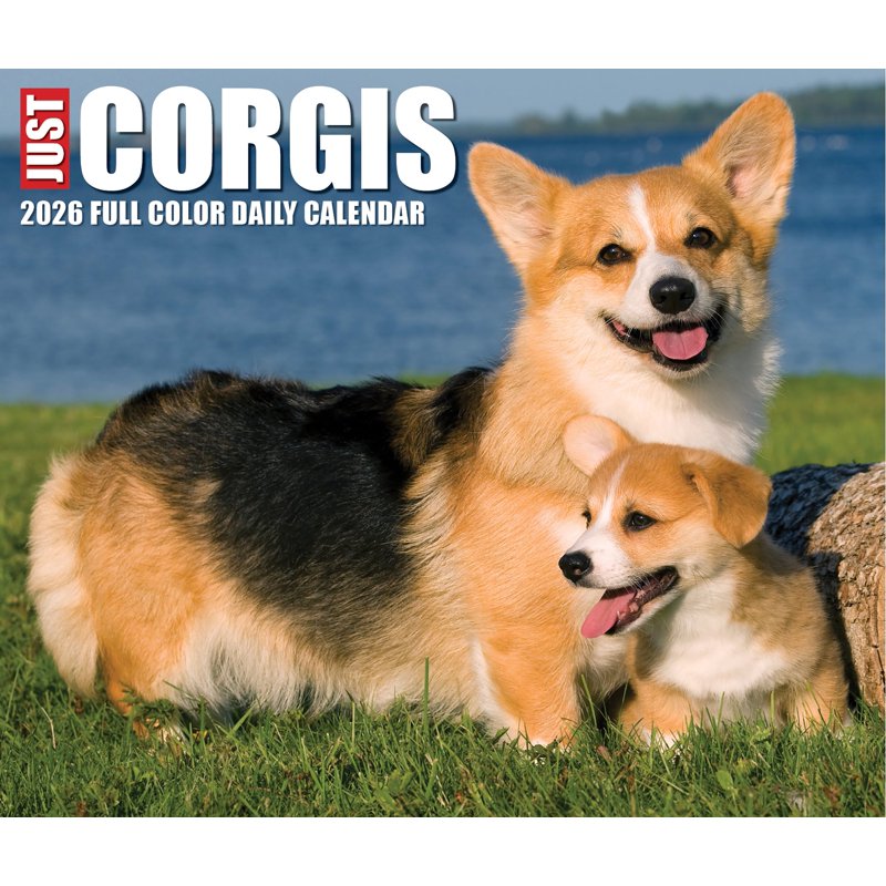 Corgis 2026 Box Calendar - Adorable Pet Dog Short-Legged Dog Breed