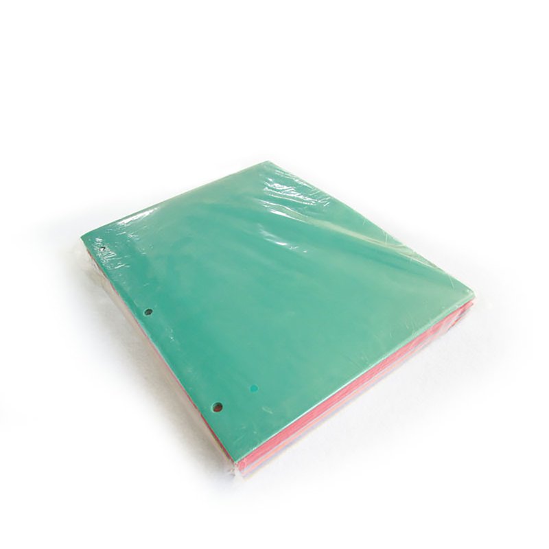2-Pocket Recycled Plastic Folder for 3-Ring Binders, Holds 11x8.5 Inches Paper