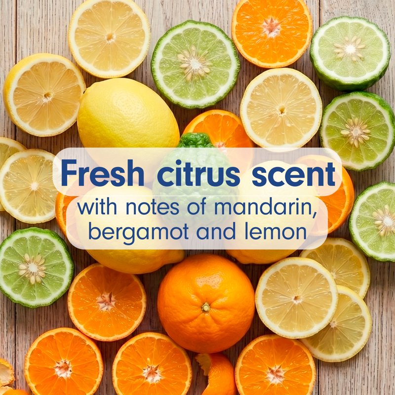 Antibacterial Hand Soap with Fresh Citrus Scent - 2 Pack, 11.25 fl oz