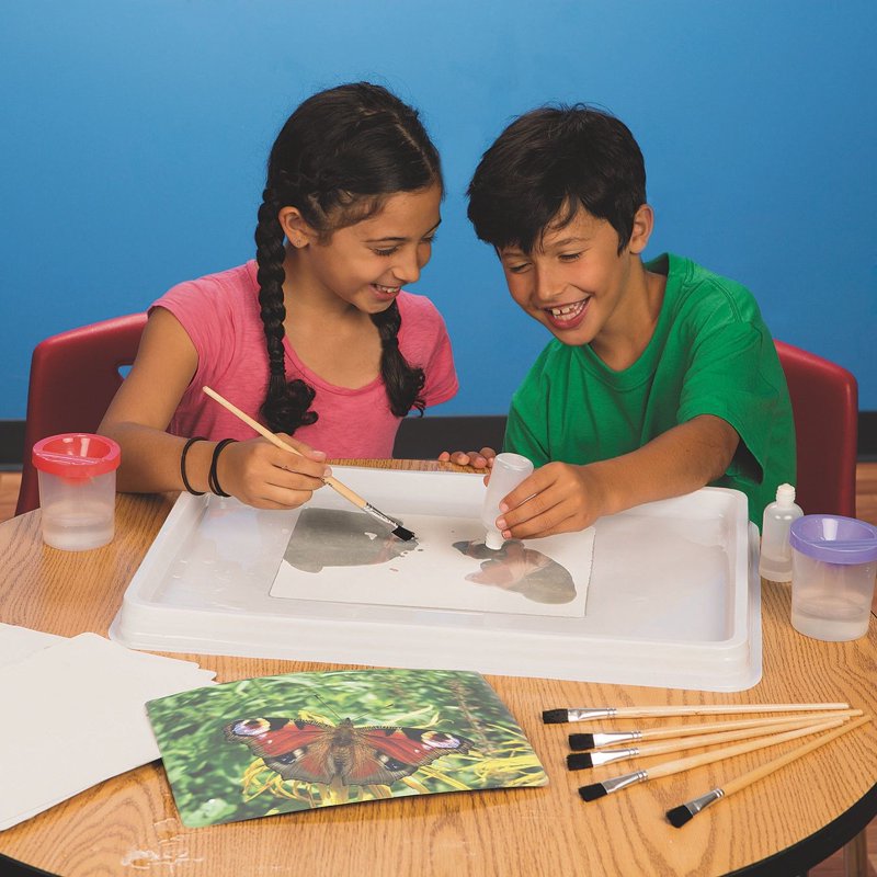 Aquapaintings Easy Painting Kit - Water-Based Art Set for Kids and Beginners