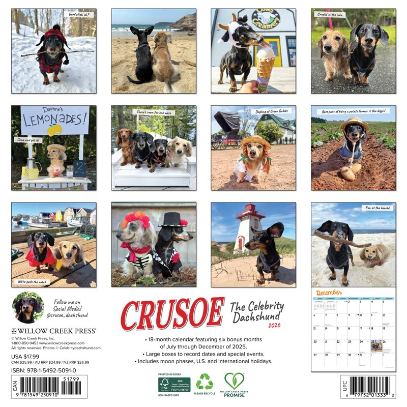 Crusoe the Celebrity Dachshund 2026 Wall Calendar - Adorable Dog Humor