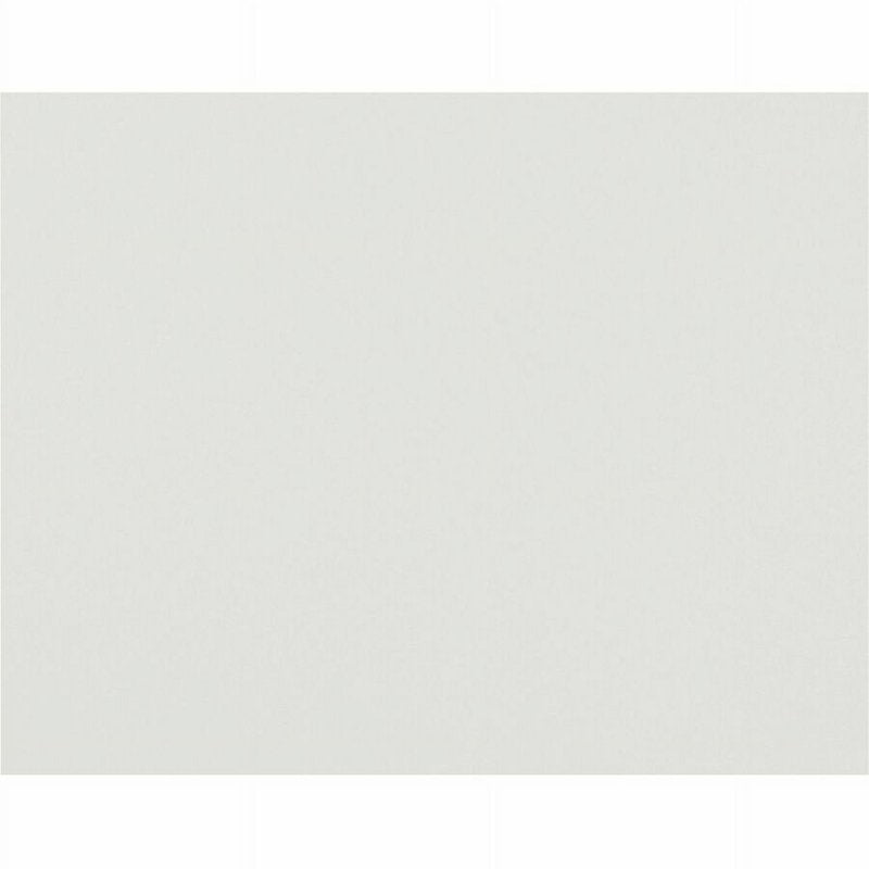 White Recyclable 4-Ply Railroad Board - 22 x 28 Inches, 50 Sheets for Art & Projects