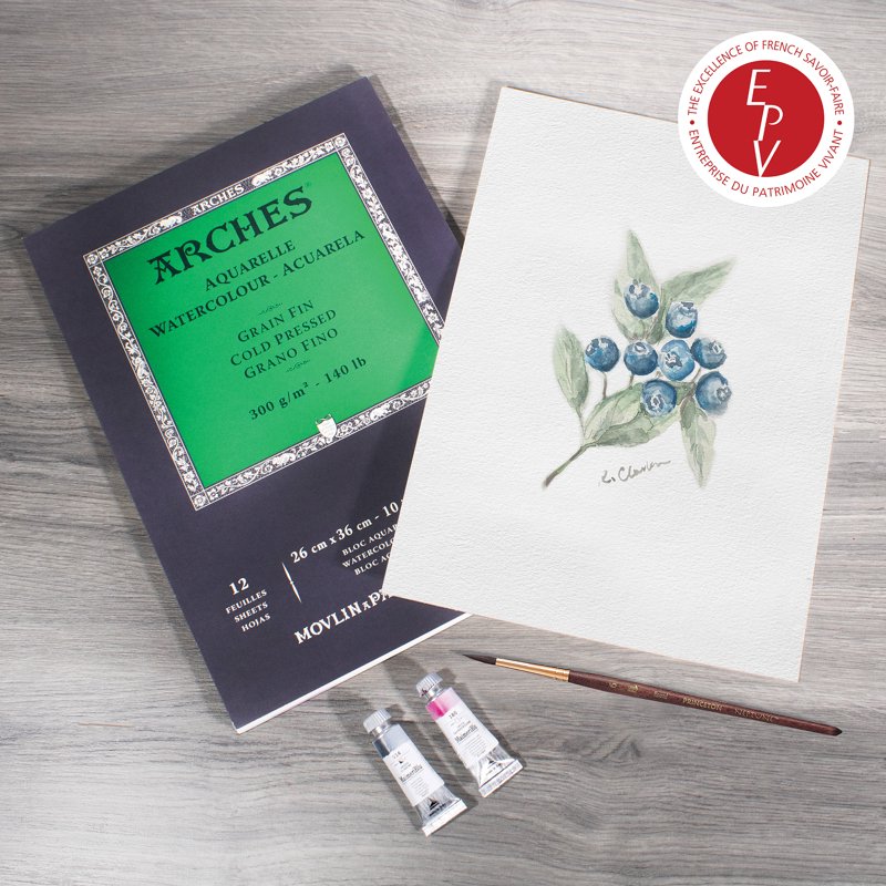 Arches 140 lb Watercolor Pad Cold-Pressed 11.7 x 16.5 Inches - 12 Sheets