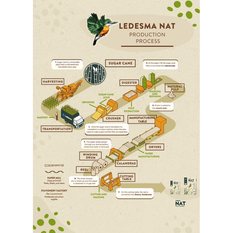 Sustainable Sugarcane Pulp Printer Paper - Letter Size, 5 Reams, 2500 Sheets