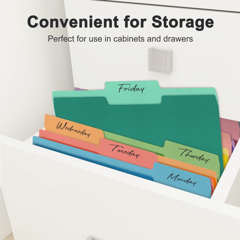 Multicolored File Folders with 1/3 Cut Tabs - 100 Pack for Office & School