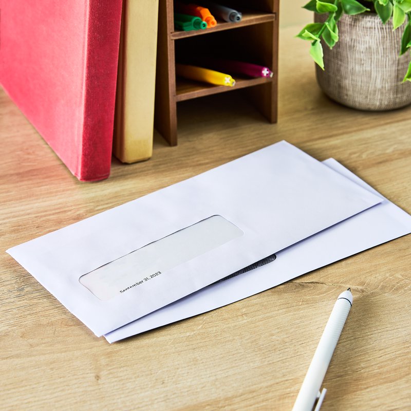 Pen+Gear #10 Single Window Peel & Stick Envelopes 250 Pack White Security Tinted