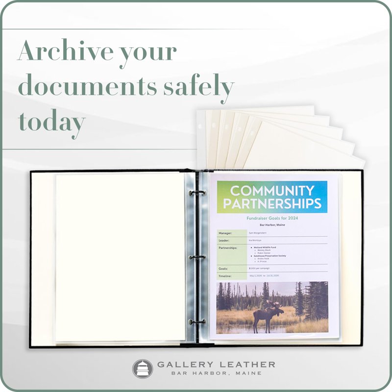 Clear Sheet Protectors for 3 Ring Binders - 8.5x11 Inch, Archival Safe, 5 Sheets