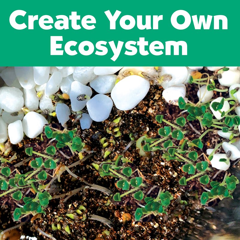 Kids Grow 'N Glow Terrarium Kit - STEM Eco-System Craft & Science Set