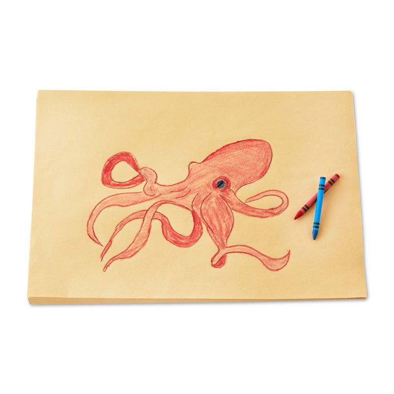 Drawing Paper 18 x 12 Inches - 70 Sheets for Artists & Crafters