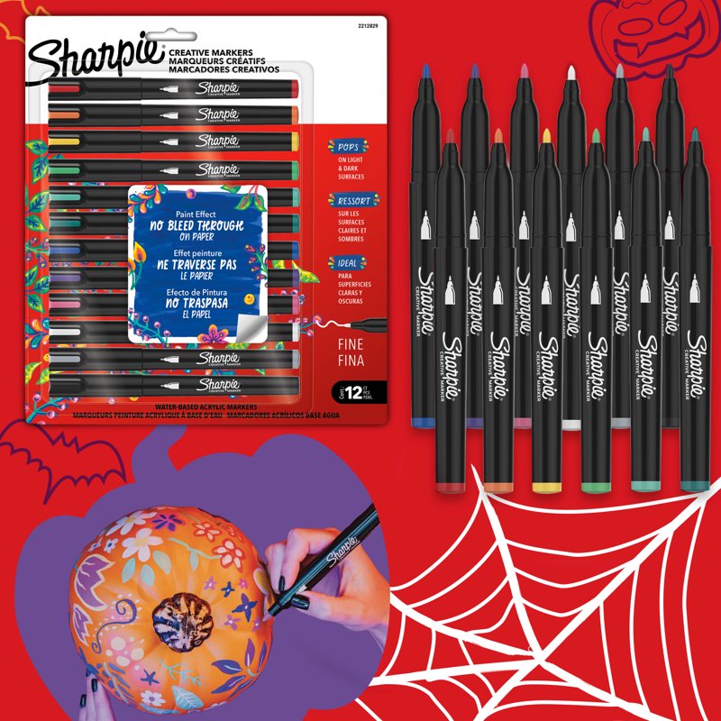 Assorted Water-Based Acrylic Paint Markers - Fine Tip, 12 Pack for Art & Crafting