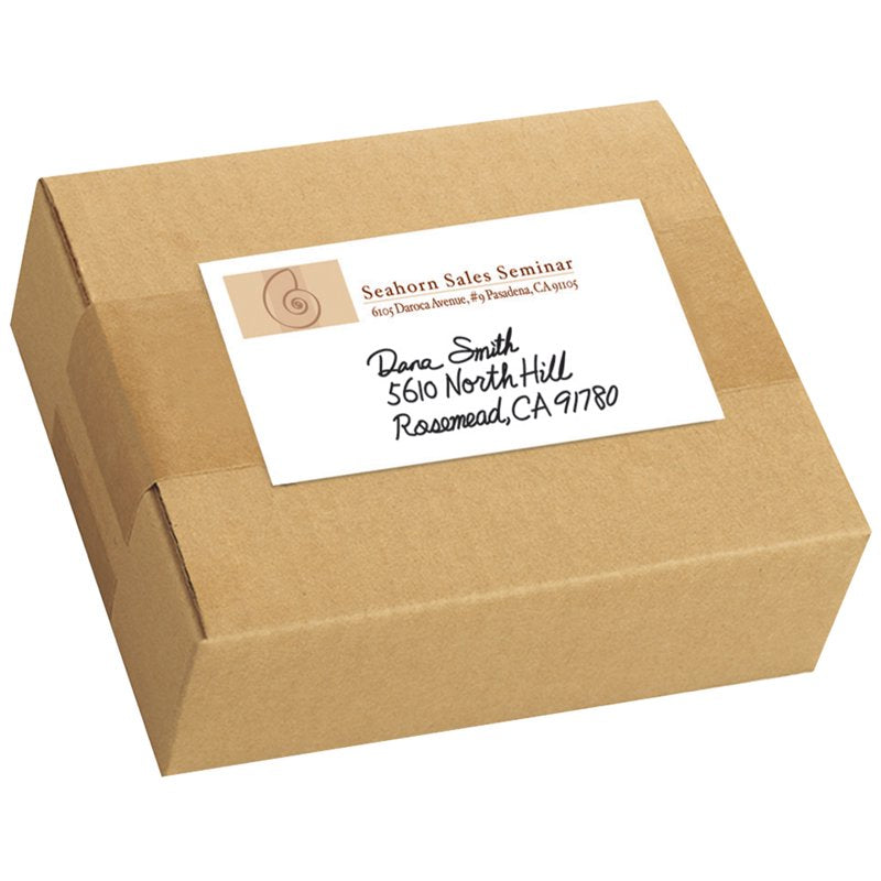 All-Purpose Removable Labels Pack - 2 x 4 Inches, 100 Labels