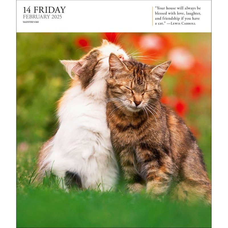 Cat Calendar 2025 Gallery Desk Calendar with Stunning Cat Photos - Desktop Display