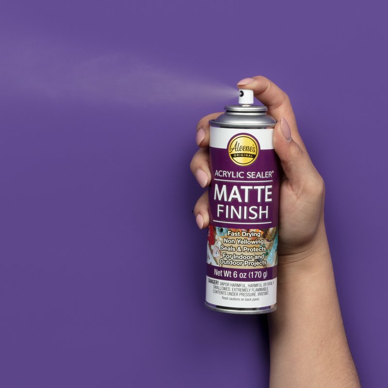 Clear Matte Acrylic Spray Sealer 6 oz - Indoor & Outdoor Protective Finish