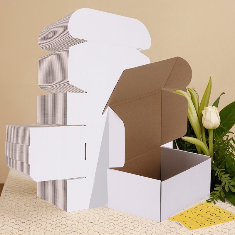 30 Pack White Corrugated Shipping Boxes 9x6x4 Inches for Small Business