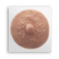 TataTattoos Temporary Realistic Nipple/Areola Tattoos ? Non-Surgical for Mastectomy Recovery ? for Post Breast Cancer Surgery (Cream, Medium (Pack of 20))
