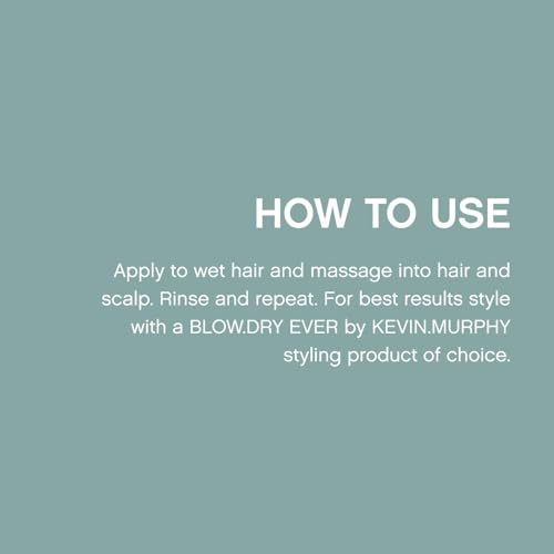 KEVIN.MURPHY BLOW.DRY WASH - Nourishing, Repairing Hair Care - Safe for Everyday Use - Deep Nourish Hair Shampoo - Offers Heat Protection - 250 mL / 8.4 fl oz