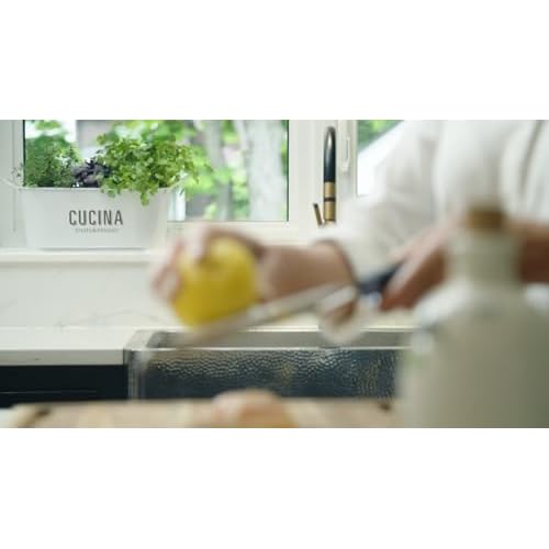 Fruits & Passion Cucina Kitchen Hand Soap, Sea Salt & Amalfi Lemon, Natural Soap with Cold-Pressed Olive Oil, Vegan Moisturizing Formula in Refillable Glass Hand Soap Dispenser, 6.76 fl oz