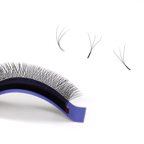 COAST GIRL YY/3D/4D/5D/6D W Shape Eyelash Extensions Premade Volume Fans 0.07mm C/D Curl 8-15mm W Lashes Volume Fans Premade False Eyelashes (3D W 0.07 D, 8-15mm Mix)