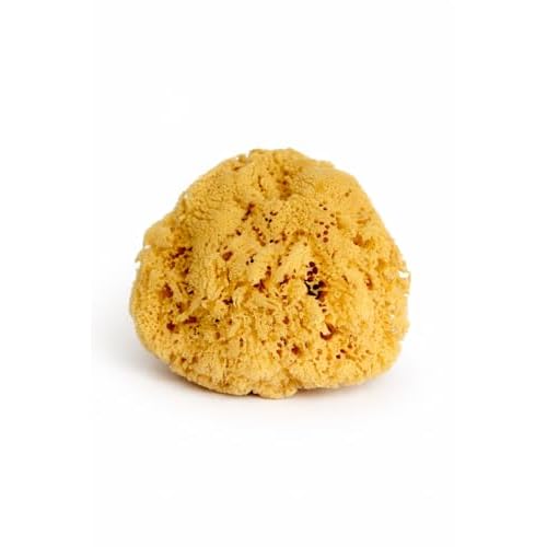 Real Sea Sponge for Men - Extra Large 6"-7", Totally Natural, Kind on Skin for an Invigorating Shower, Supplied in Breathable Mesh Bag. Great for The Gym, Grooming, Bath & Body Gift by Constantia Man