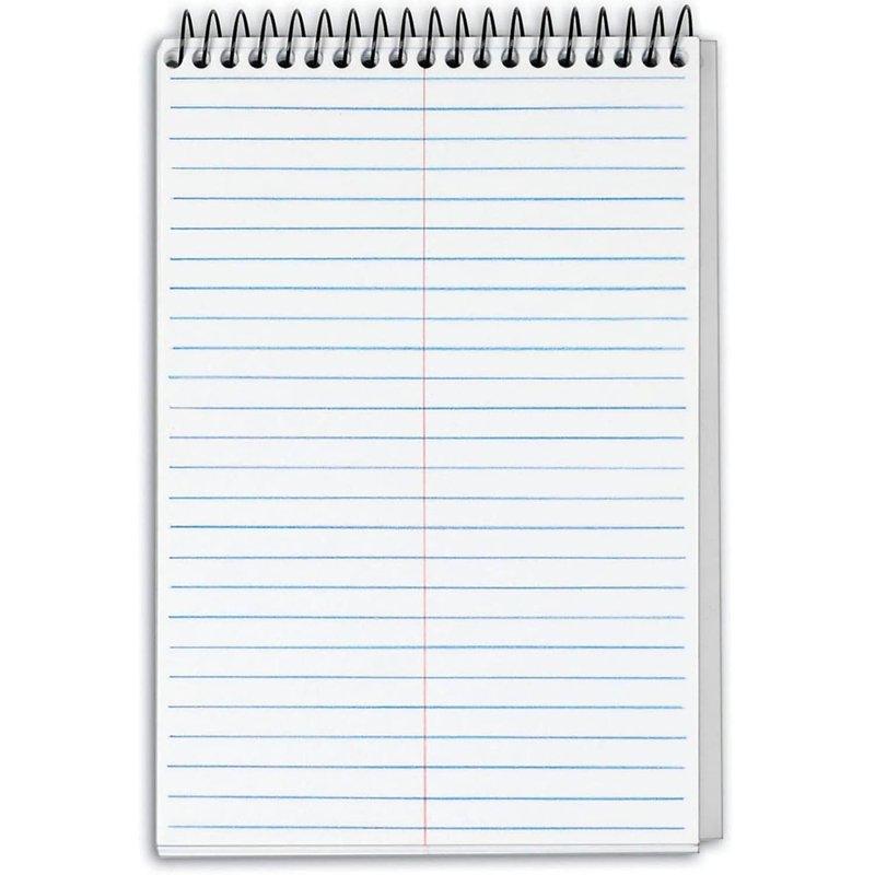 Business Forms Docket Gold Steno Notebook - 6x9 White, 100 Sheets