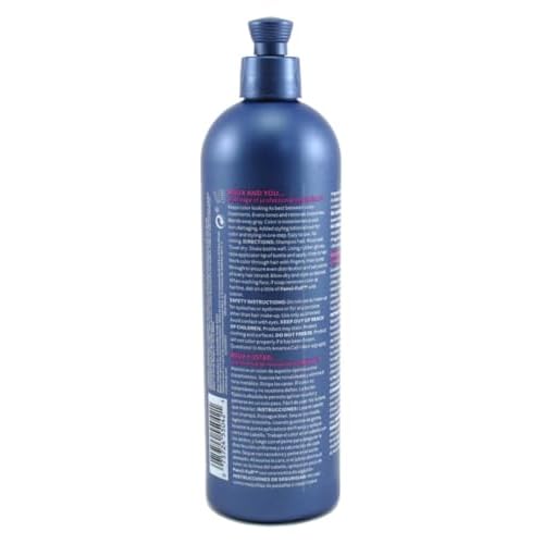 Roux Fanci-Full Rinse #42 Silver Lining 15.2 Ounce (450ml) (2 Pack)