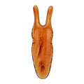 FILFEELNose Massager, Resin Gua Sha Facial Tools Nose Up Scraper for Women Nose Shaping (Amber)