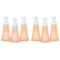 Method Foaming Hand Wash,Sandalwood + Cedar,10 fl oz,(Pack of 6)