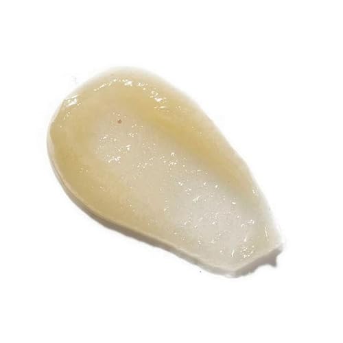 Cappuccino Balm .5oz ? Natural Lip, Eye & Face Moisturizer for Dry Skin ? Coffee-Infused Shea Butter Balm with Aloe Vera & Vitamin E ? Anti-Aging, Hydrating & Protective Skincare