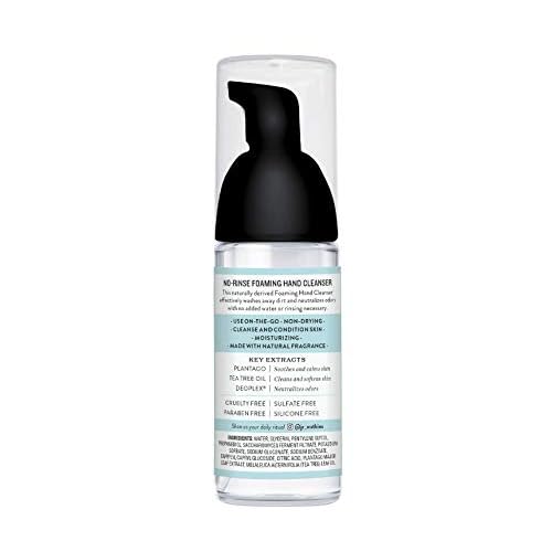 J.R. Watkins No-Rinse Foaming Hand Cleanser ? Hand Soap in Pump Dispenser ? Bathroom & Kitchen Foam Cleaner ? All Natural, Alcohol Free, Unscented, 1.6 fl. Oz., 6 Pack