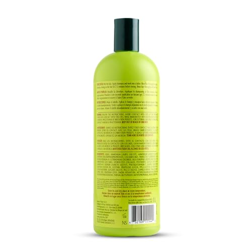 ORS Olive Oil Professional Neutralizing Shampoo 33.8 Ounces (Pack of 2)