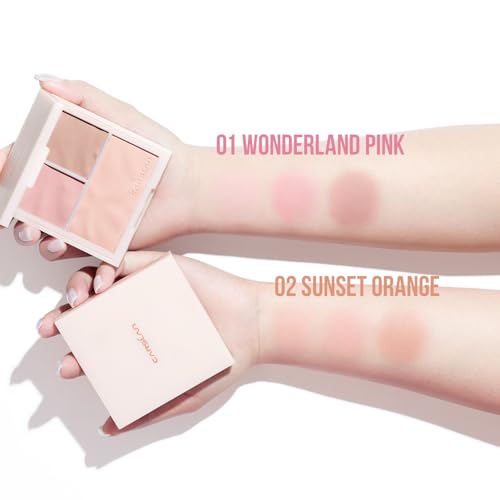 3 color blush palette