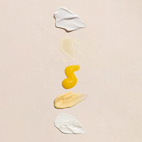Fleur & Bee Skincare Set, Discovery Set, 5 Deluxe Minis Moisturizers, Serums, Eye Cream | Skin Care Gift Set Vegan & Cruelty-Free | Travel Friendly