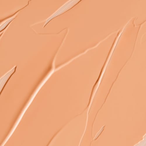 JOAH Perfect Complexion Concealer, Cream, Medium with Neutral Undertones, 1 oz