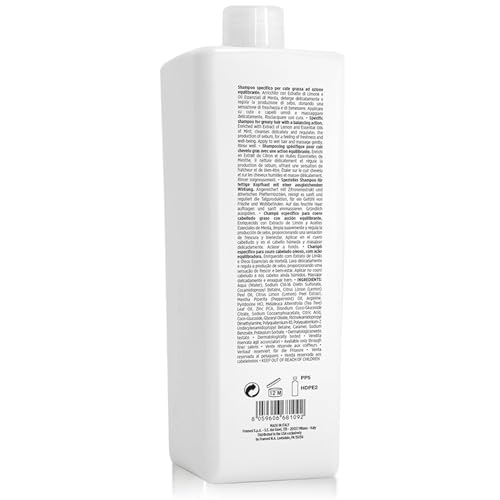 FRAMESI Morphosis Balance Shampoo 33.8 fl oz