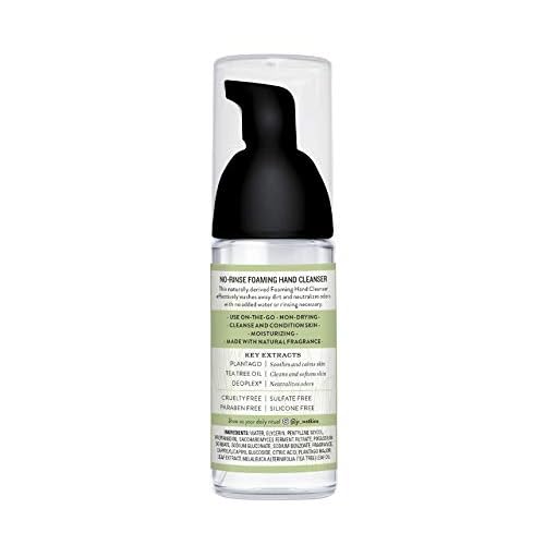 J.R. Watkins No-Rinse Foaming Hand Cleanser ? Hand Soap in Pump Dispenser ? Bathroom & Kitchen Foam Cleaner ? All Natural, Alcohol Free, Lemongrass, 1.6 fl. Oz., 6 Pack