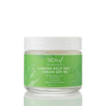 Lamina Kelp Day Cream 30 SPF, Broad Spectrum, UVA/UVB, Unscented, Mineral Sunscreen, Ocean and Kelp Friendly 2.1 oz/59 g